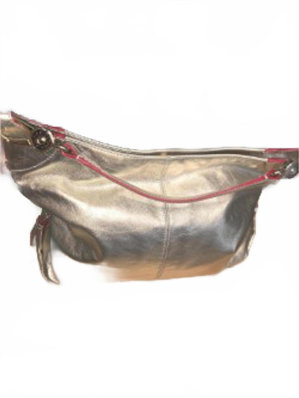 Dooney & Bourke Metallic Silver Leather Shoulder Bag with Red Strap Accent